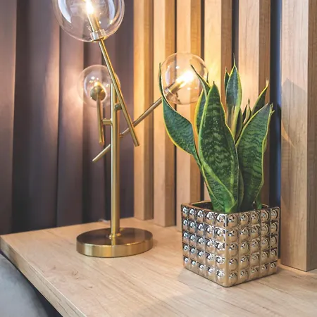 Appartement Brzoskwiniowy *