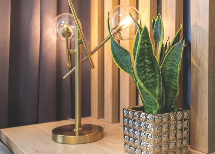 Apartamento Brzoskwiniowy *